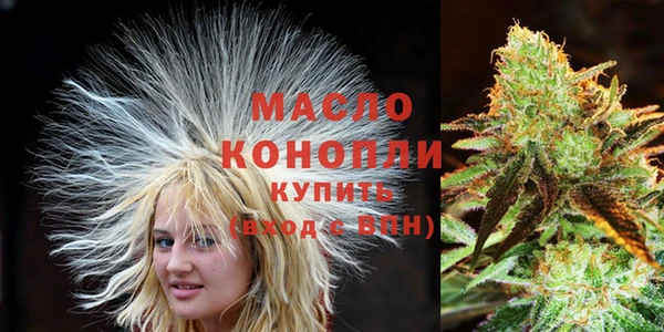 твердый Новодвинск