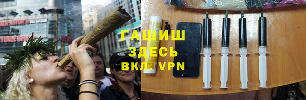 твердый Новодвинск