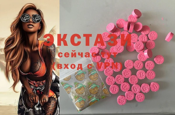 твердый Новодвинск