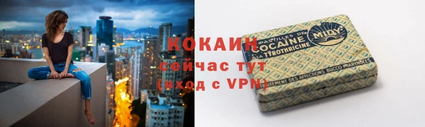 твердый Новодвинск