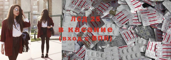 твердый Новодвинск