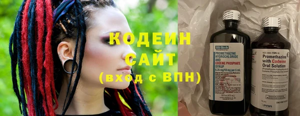 твердый Новодвинск