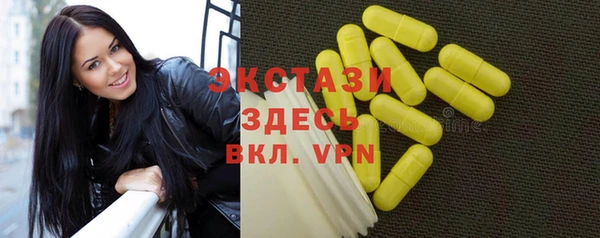 твердый Новодвинск