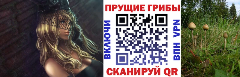 продажа наркотиков  Нальчик  Псилоцибиновые грибы ЛСД 